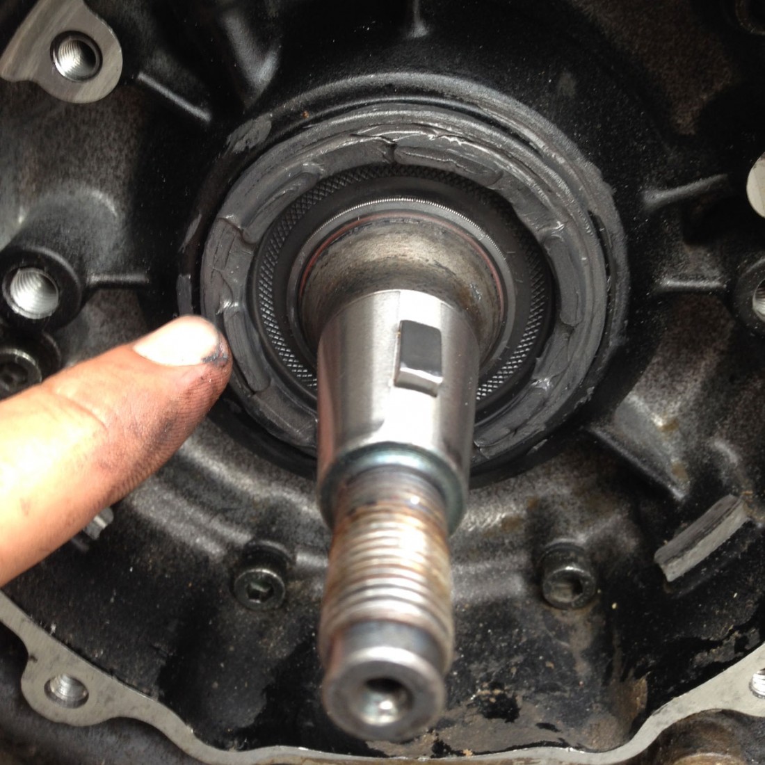 Replace Yamaha 2 stroke crank seals Chin on the Tank Motorcycle